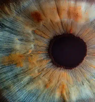 Cornea: A super close-up shot of just the hazel iris and pupil of an eye.