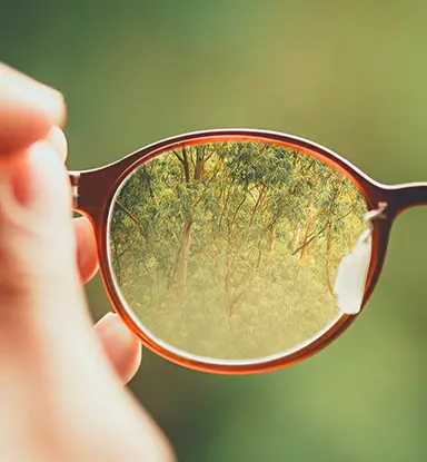 Optical: An image showing a clear wooded scene through one lens of a pair of glasses, with the outside being all blurry.